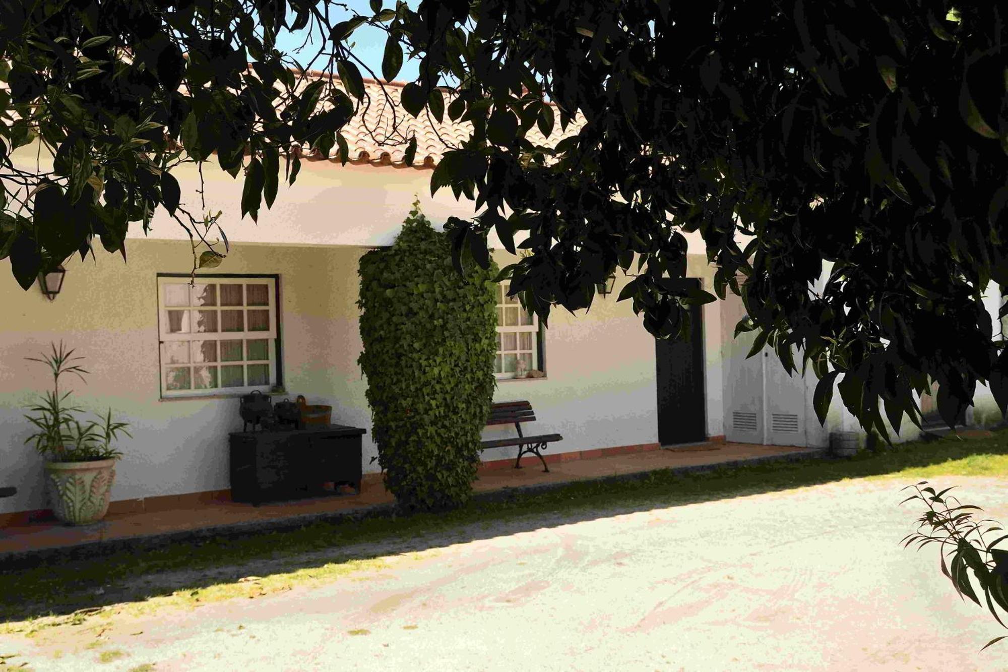Vila Quinta Da Fata Nelas Exteriér fotografie