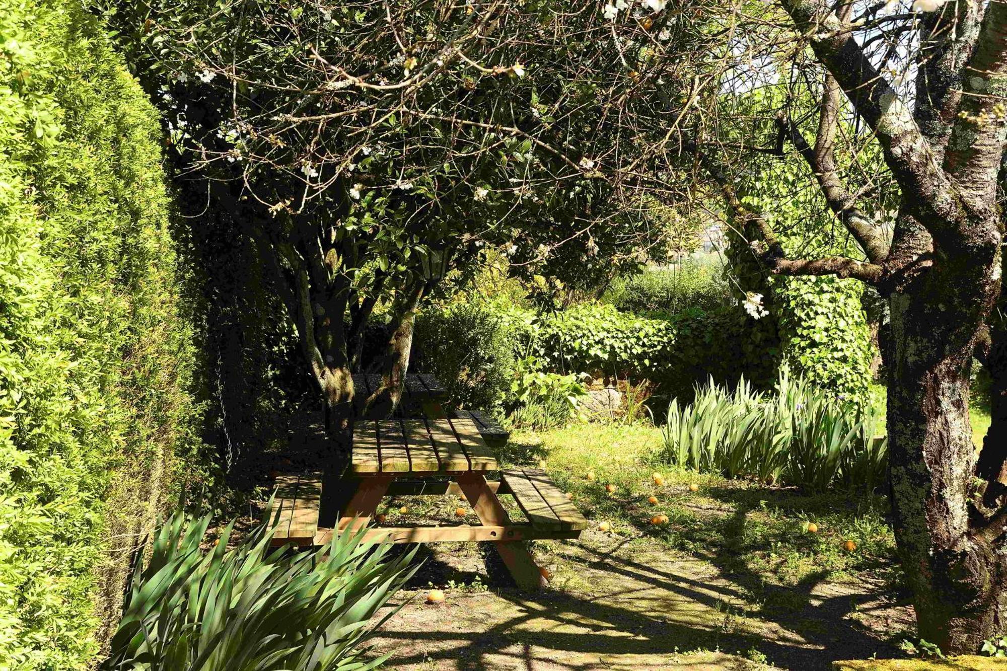Vila Quinta Da Fata Nelas Exteriér fotografie