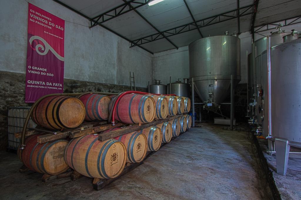 Vila Quinta Da Fata Nelas Exteriér fotografie