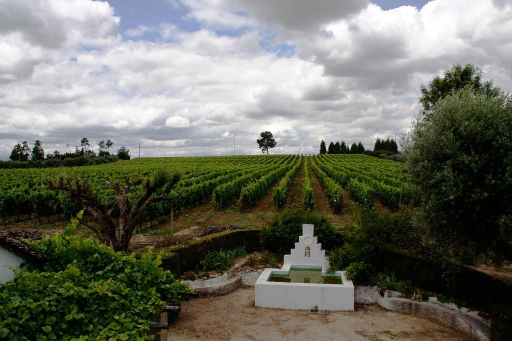 Vila Quinta Da Fata Nelas Exteriér fotografie